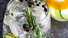 Gin Tasting: Schottland