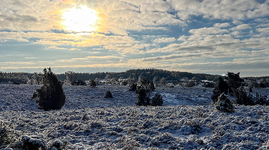 Neujahrswanderung 2027