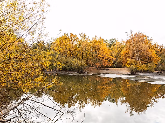 lee_maas_timo_sommer_hamburger_norden_eppendorfer_moor_3000px_argb_338