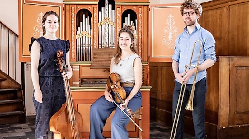 TAMM - Castello Consort