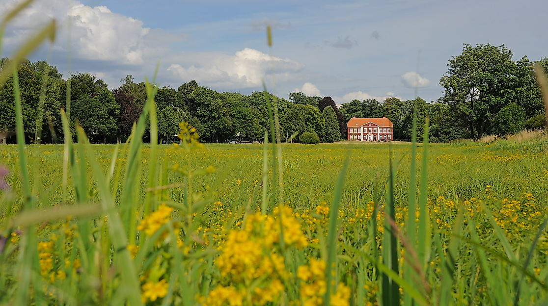 Kräuterwanderung durch die Obere Allerniederung bei Celle