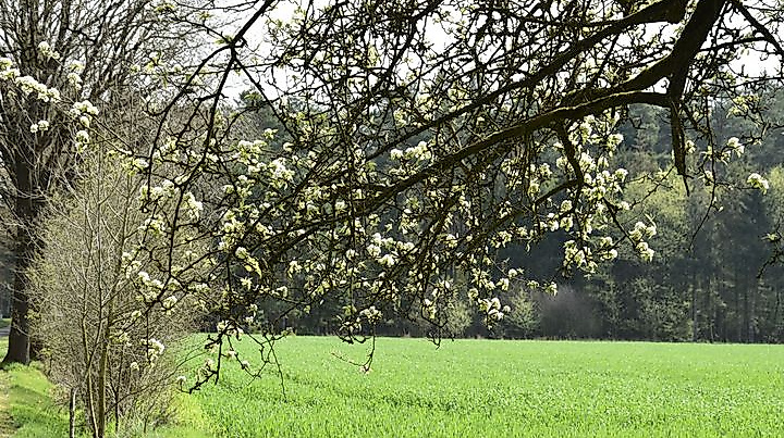 Von Soltau in Richtung Wietzendorf