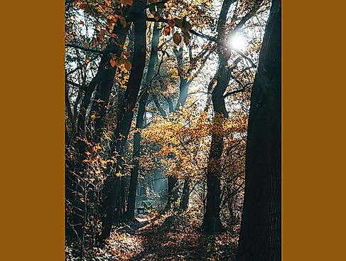 26-10-07 Wie komme ich gut durch die dunkle Jahreszeit ©pexels