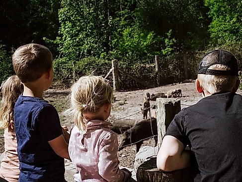 Kinder-Ausflug ,,Wildschweingatter"
