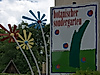 Botanischer Sondergarten Wandsbek