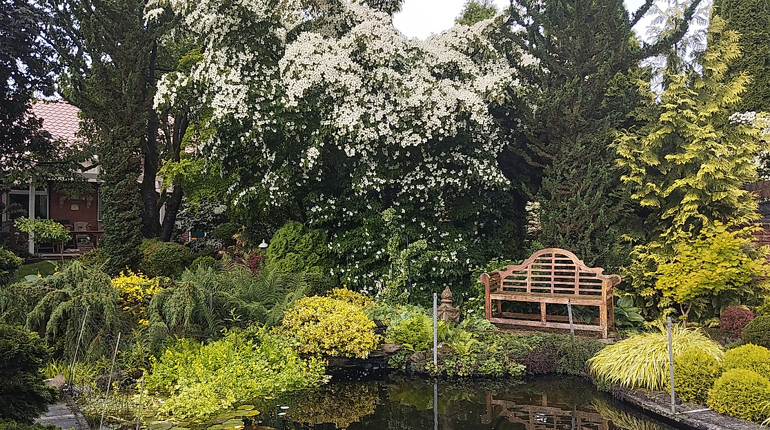 Am Teich im Garten Mekelburg
