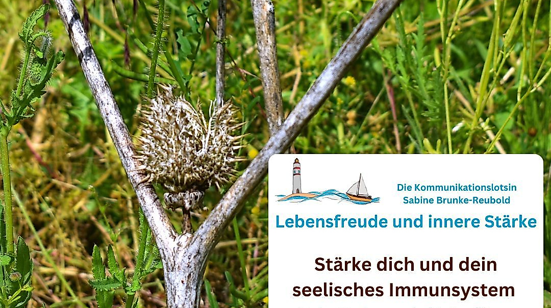 Resilienz-Wochenende Soltau Okt25