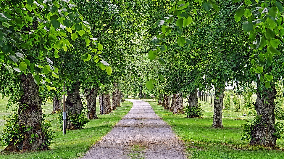 Naturpark