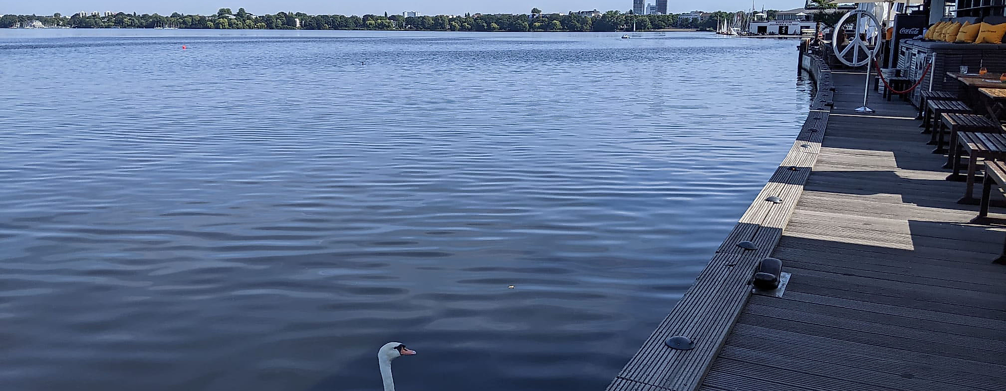 coco riviera-Blick ueber die Alster schweifen lassen