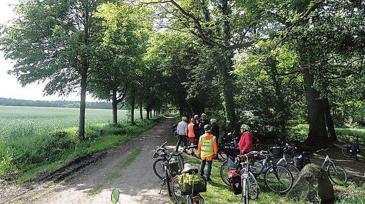 Spargeltour