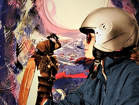 Frau Peterchens Mondfahrt