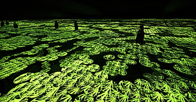 digital-art-museum_memory-of-topography_c-2021_teamlab