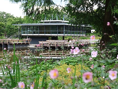 Das japanische Teehaus in Planten un Blomen