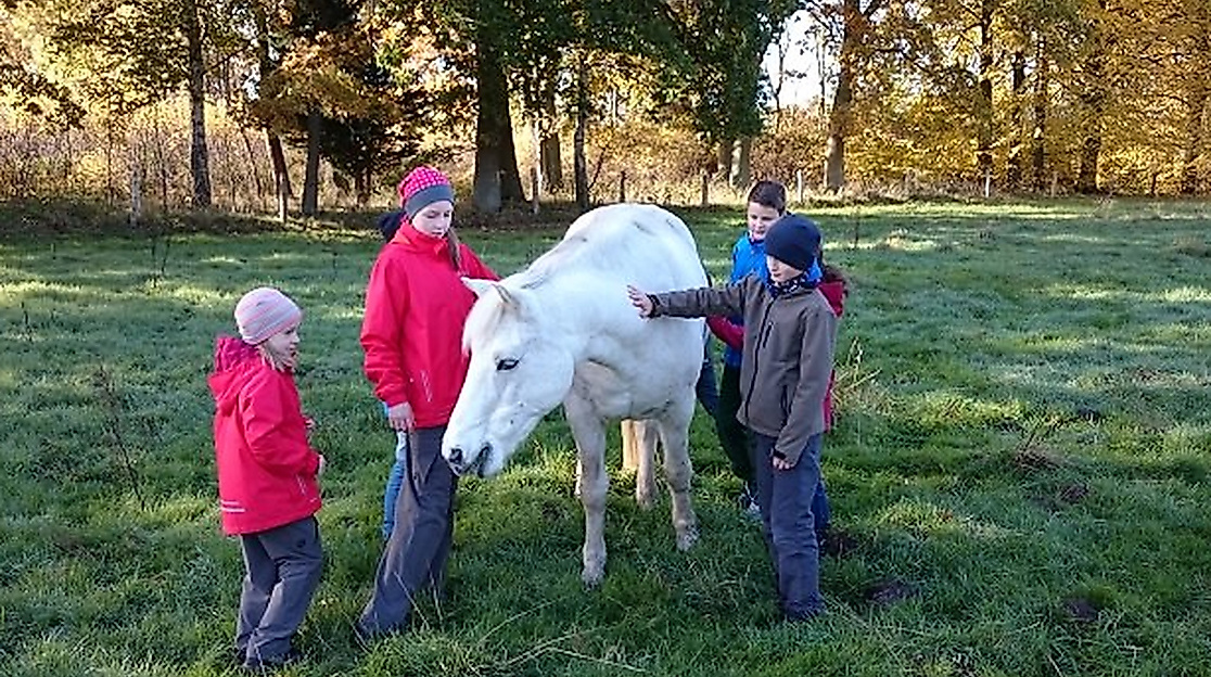 EXEO Ferienbetreuung "Abenteuer machen stark!"