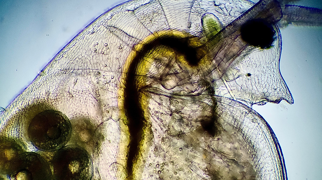 2023-03-23 22-27-51 (B,R7,S4)