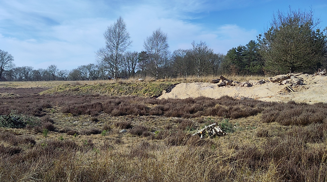 Maßnahmenumsetzung im Bokeler Moor
