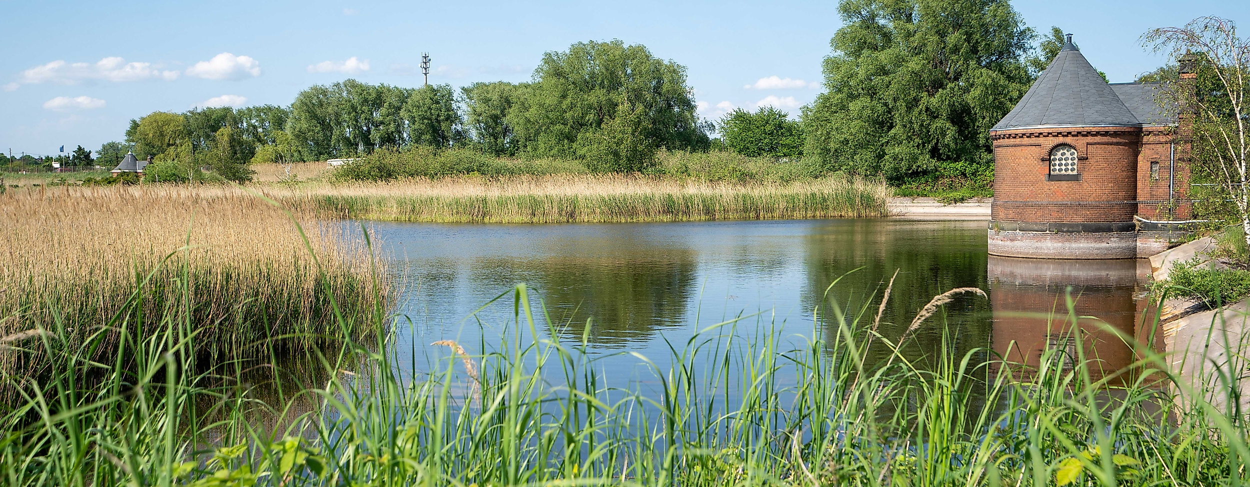 web-2-filterbecken_wasserkunst-elbinsel-kaltehofe-c-krafft-angerer_stiftung-wasserkunst-elbinsel-kaltehofe