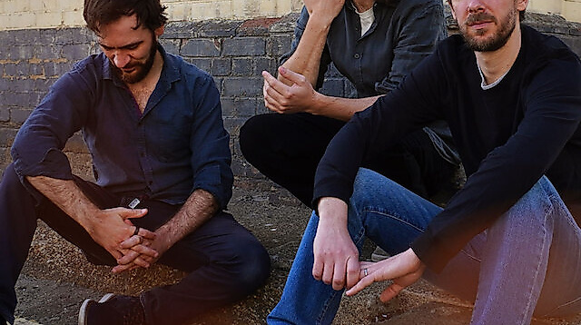 Mammal Hands