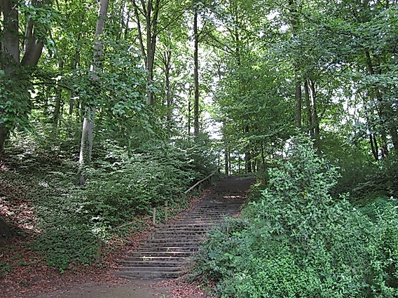 Rönneburger Park