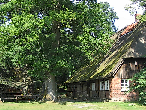 Mit dem "Löwen der Heide" auf Entdeckungsreise