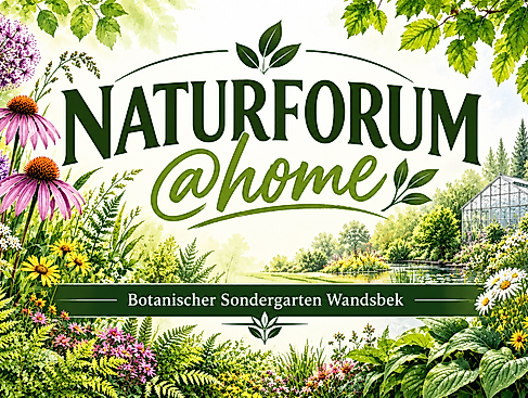 Naturforum @home im Botanischen Sondergarten