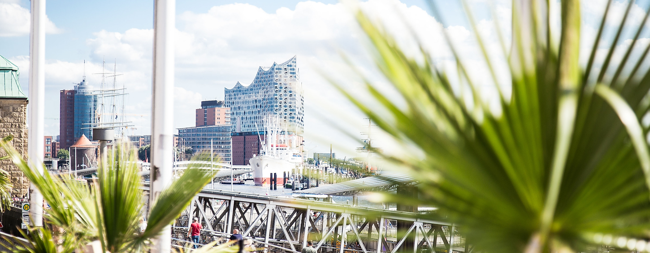 Blick vom Beachclub Hamburg des Mar mit Palmen auf Elbphilharmonie und Hafen unter blauem Himmel in Hamburg