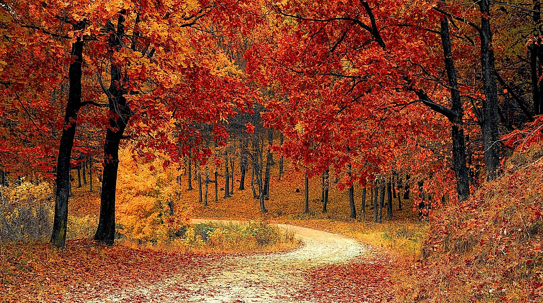 road-gb7e8ab62d_1920