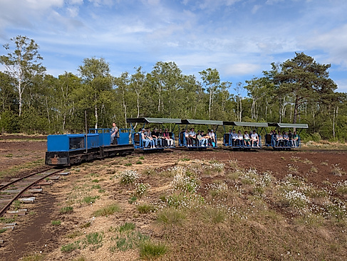 Die Torfbahn tuckert mit Gästen durch das Moor