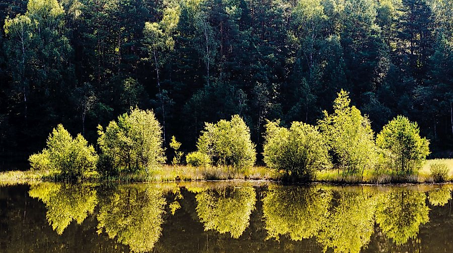 fassberg_kieselgur-niederoher-heide_ccbysa_mtiemann_20130822_2_2