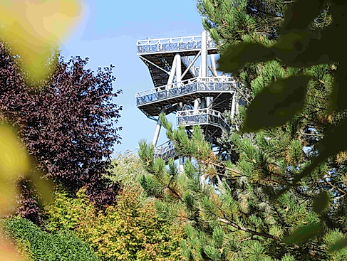 DGT 5 © DIE GARTEN TULLN_A. Buchinger