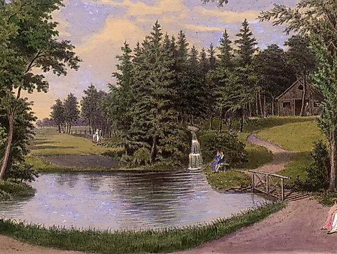 Garten-Eremit im Jenischpark