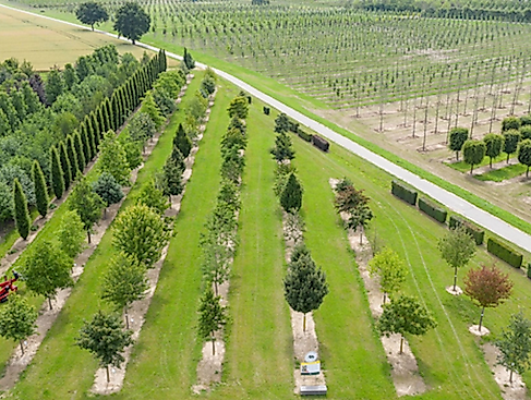 garten-von-ehren_klimabaumsafari