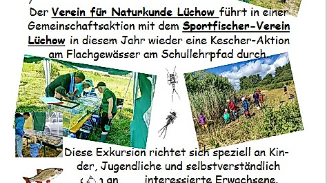 Tümpeltag 2025-06-16 163513