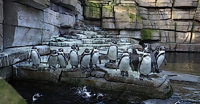 Eismeer im Tierpark Hagenbeck