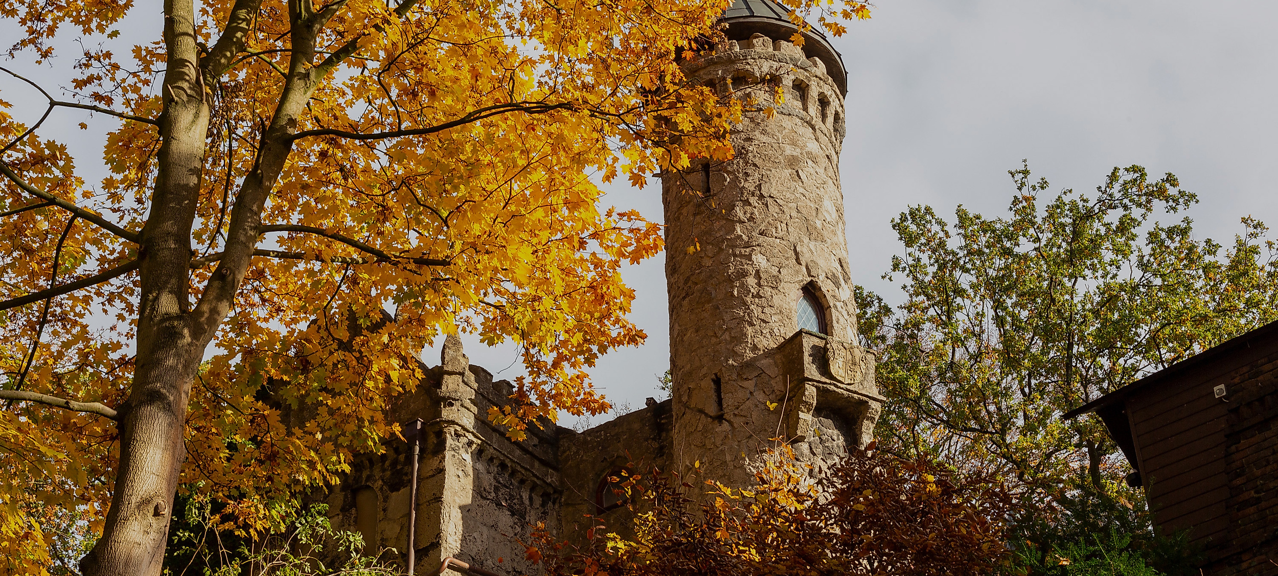 Burg Henneberg in Hamburg zwischen herbstlich gefärbtem Laub und Bäumen mit Blick auf den historischen Turm
