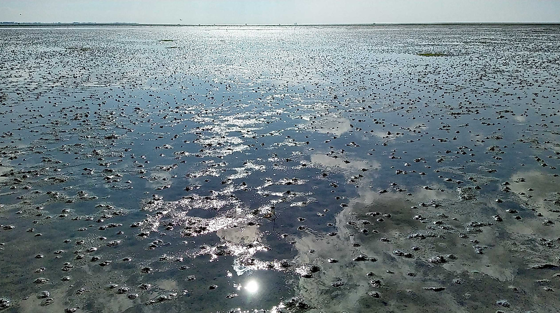 Wattwanderung "Springtide"