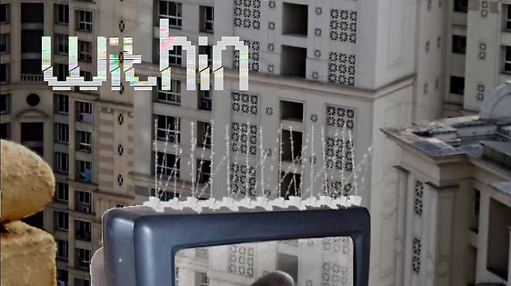 a pigeon is a glitch within