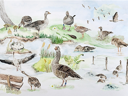 wayofthegoose_gänsejahr