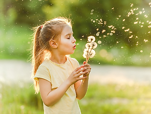 maedchen-mit-pusteblume
