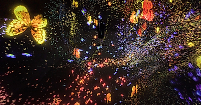 digital-art-museum_transcanding-space_teamlab