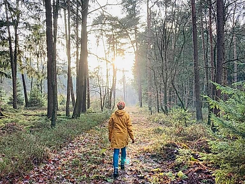 Gnarrenburg erleben: Waldyoga und Yoga Walking