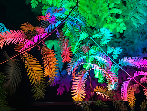 Lange Öffnungszeit mit Lichtinstallation
