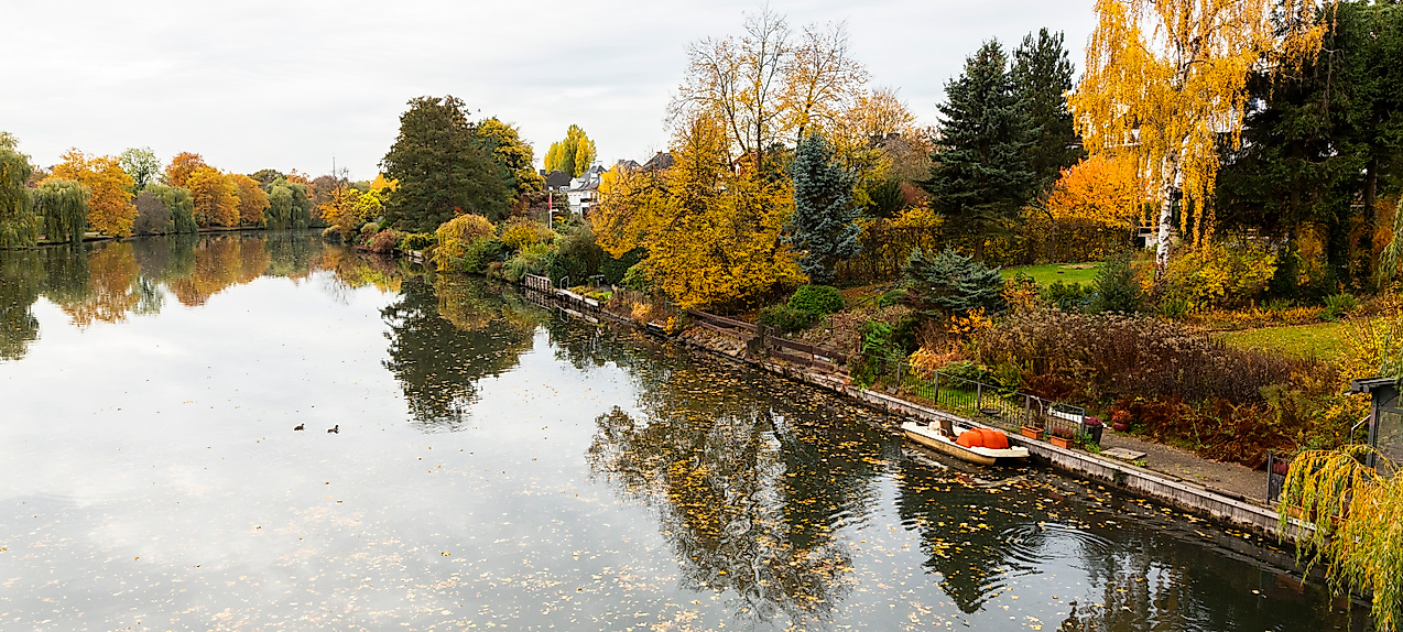 Herbstlich gefärbter Park mit ruhigem See in Hamburg, Laub auf dem Wasser und bunter Ufervegetation