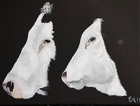 Ausstellung "FACETTEN" . Eva Mey und Tatjana Reifschneider
