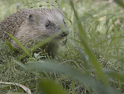 Willkommen in der Nachbarschaft
