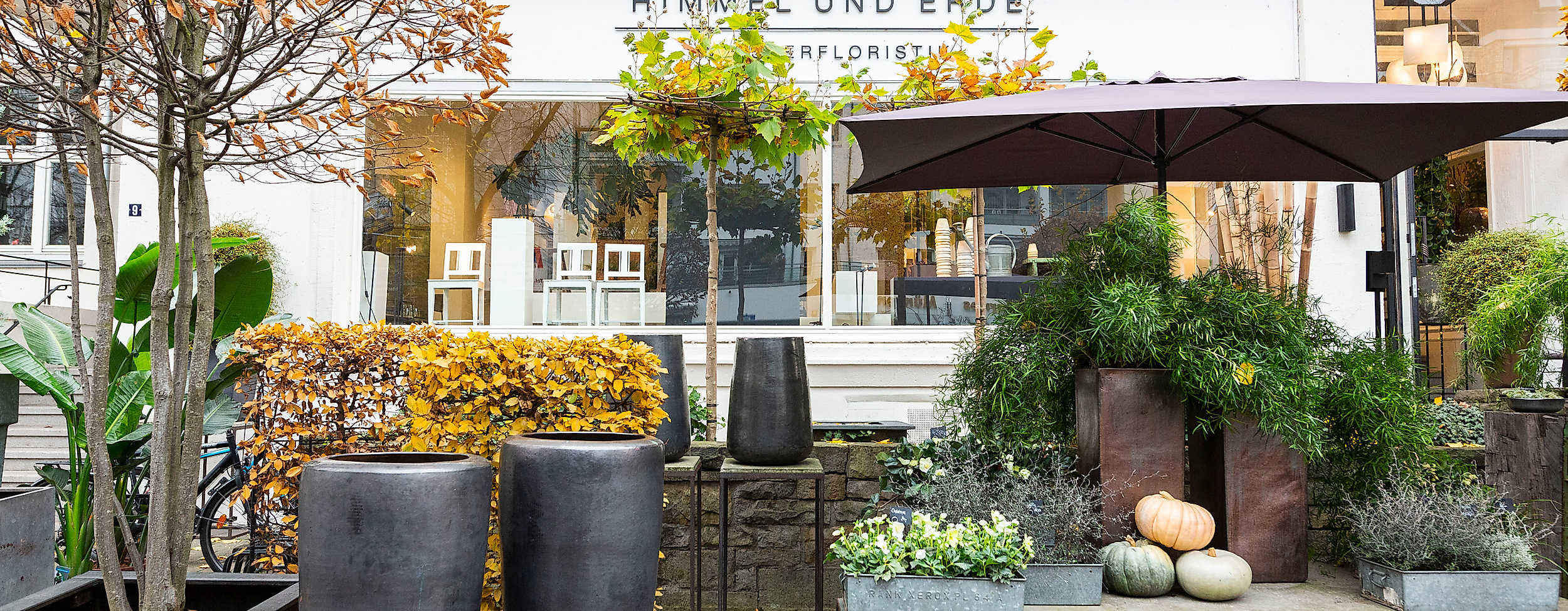 lee_maas_timo_sommer_rund_um_die_alster_himmel_und_erde_3000px_argb_410663