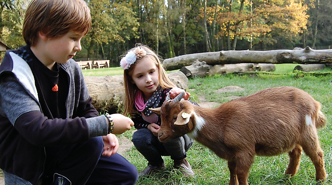 Wildpark Schwarze Berge
