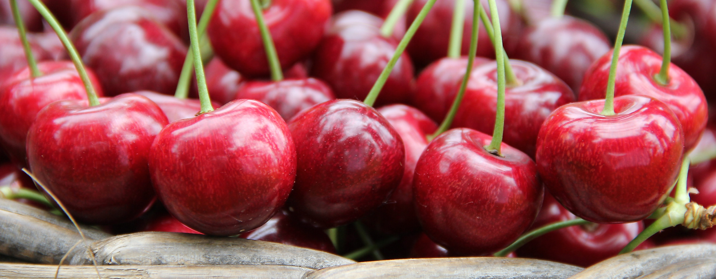 altes-land_kirschen_c-2017-tourismusverein-altes-land-ev