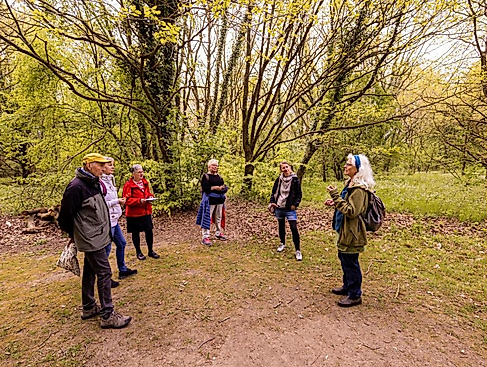 Heilpflanzenkundlerin und Kräuterexpertin Iris Bein im Wald in Klingberg