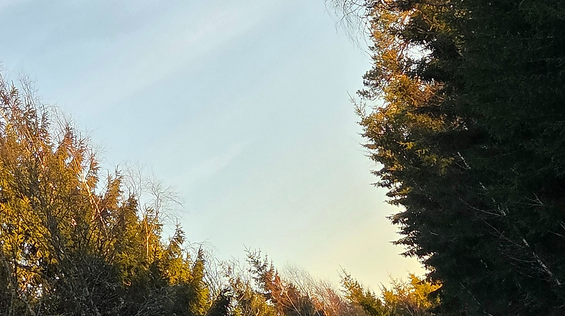 Letzter Sonntag nach Epihanias